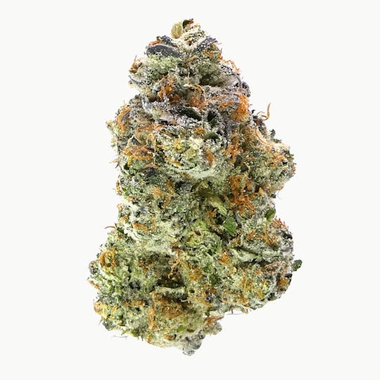 Avitas - Florida Kush Buds - 1