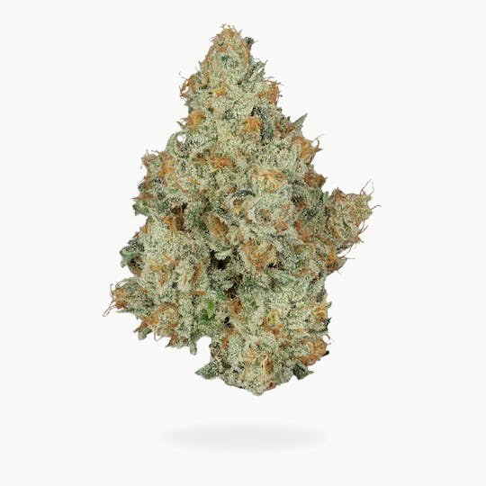 Green Truck - Truck Club Ounce: Apricot Scone - Green Truck - 1