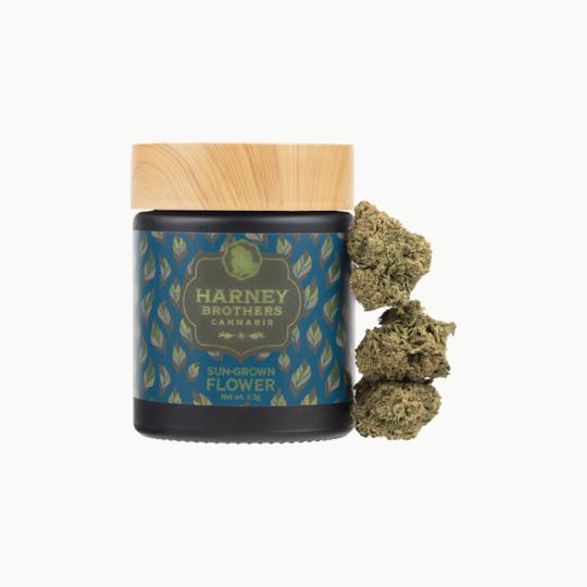 Harney Brothers Cannabis - Jelly Donutz Flower - 1