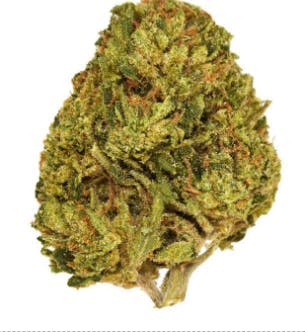 Smoakland - Smoakland Black | Caffeine | Big Buds | 14g - 1
