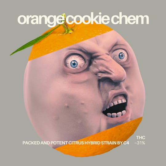C4 (Carroll County Cannabis Co.) - Orange Cookie Chem 3.5 Gram - 1