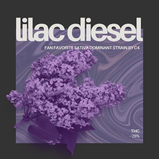 C4 (Carroll County Cannabis Co.) - Lilac Diesel 1 Gram Ice Water Hash - 1