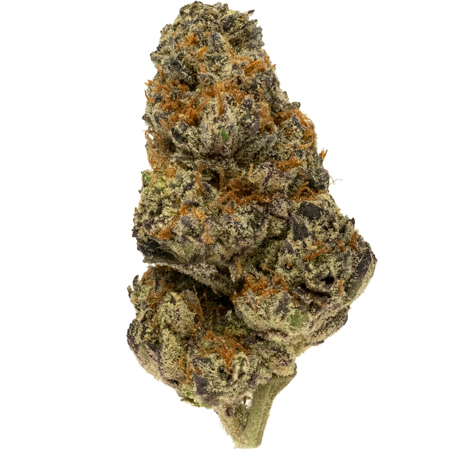 Prolific Growhouse - Umami OG - 1