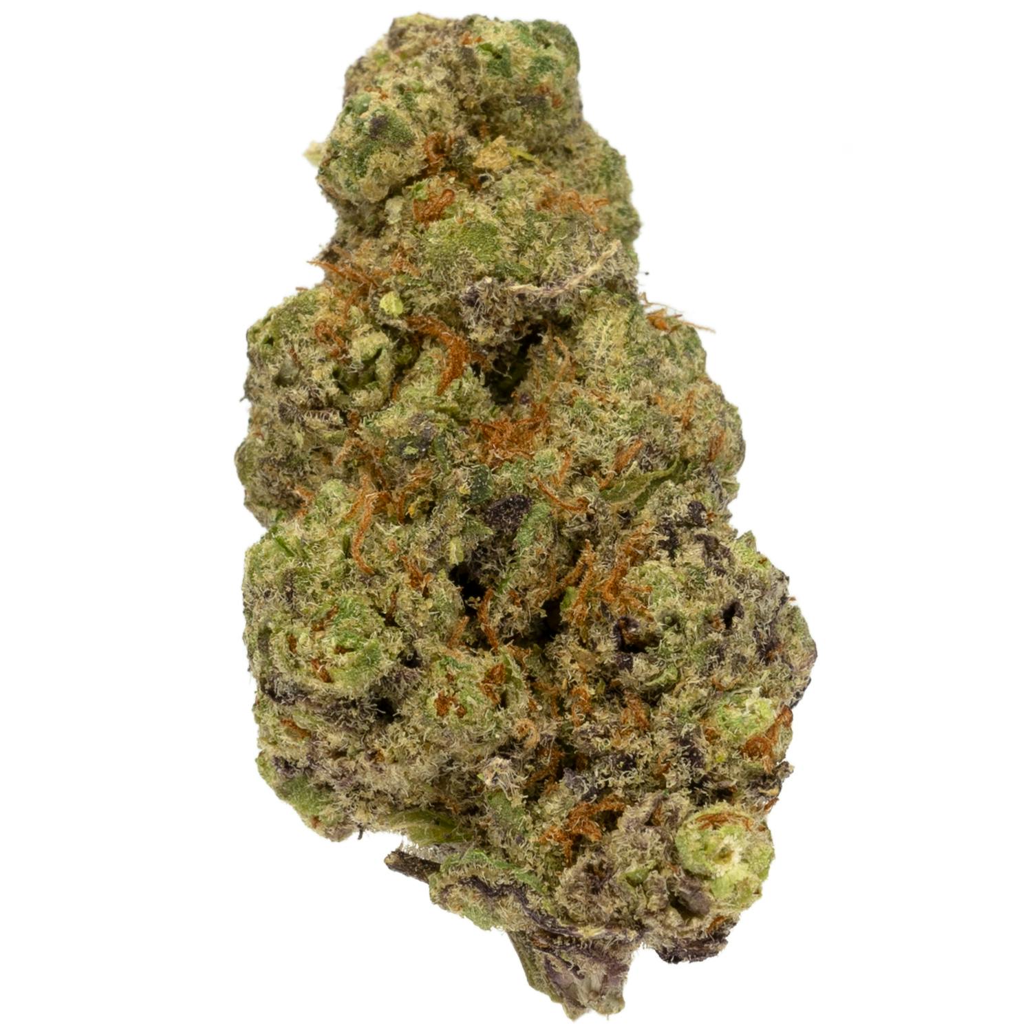 Prolific Growhouse - Jack Herer - 1