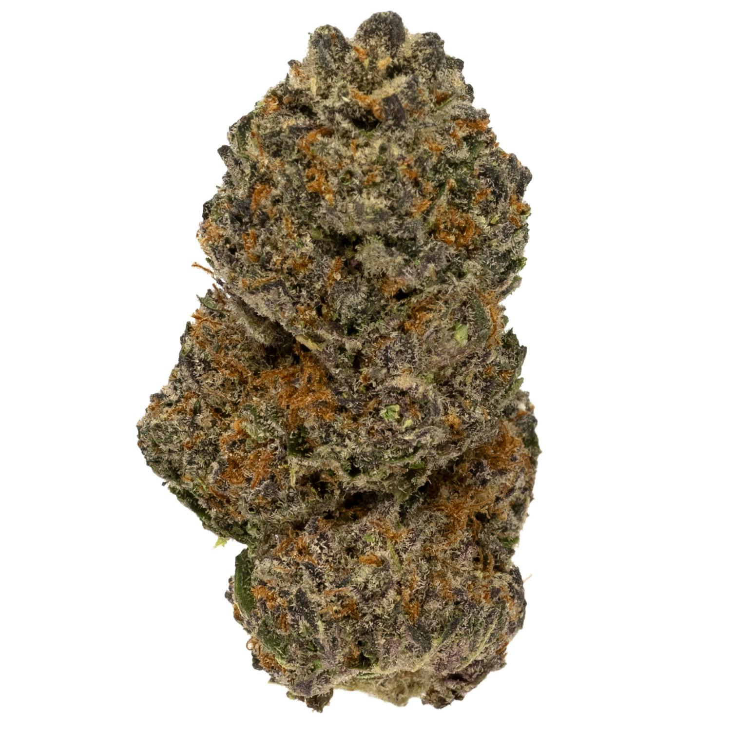 Prolific Growhouse - Grand Daddy Purp - 1