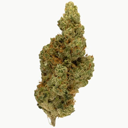Prolific Growhouse - Frozen Bananaz - 1