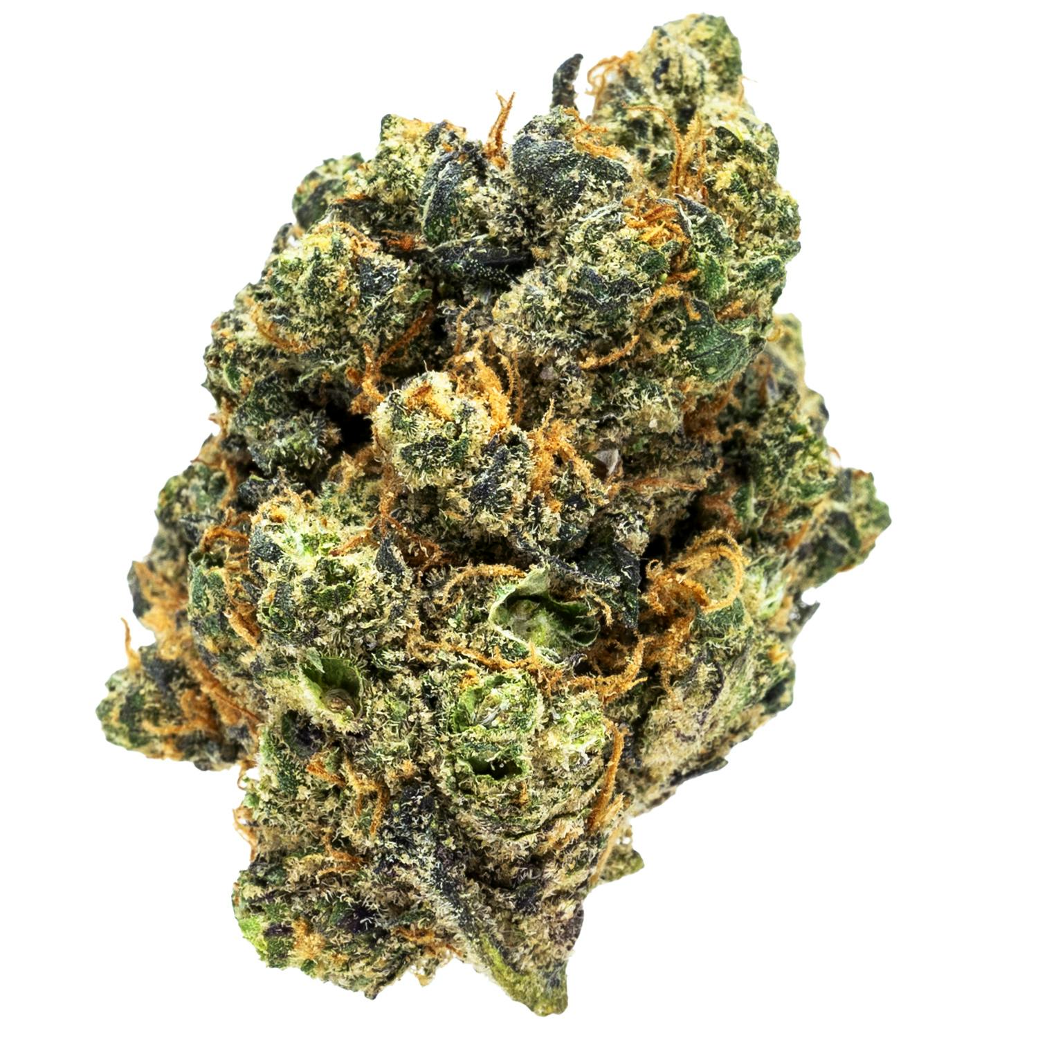 Prolific Growhouse - Blu-Tang - 1