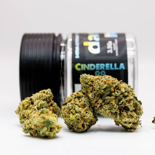 Dank By Definition - CINDERELLA 99 - 1