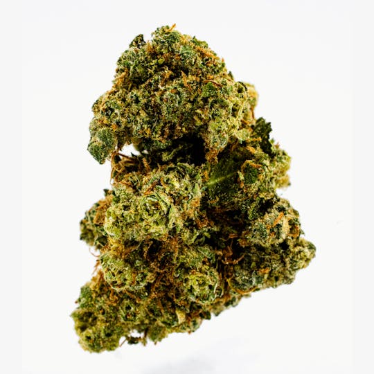 Dank By Definition - JACK DIESEL - 1