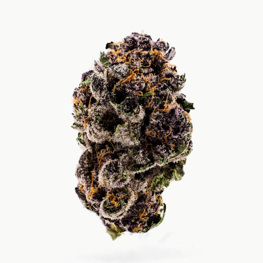 Dank By Definition - TROPICANA COOKIES - 1