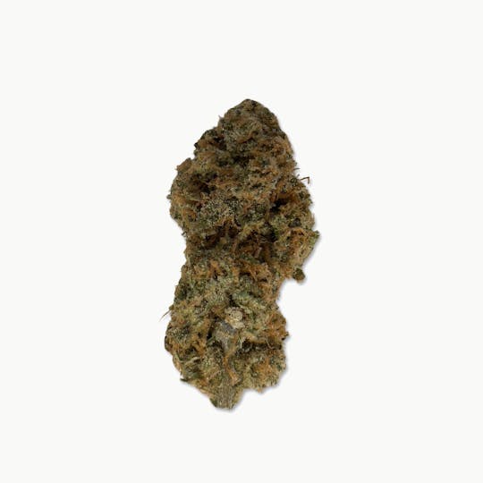Indico - Bitties - $100 Oz - 1