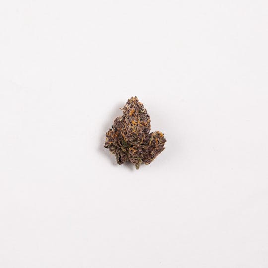 SASHI - Cherry Biscotti - 1