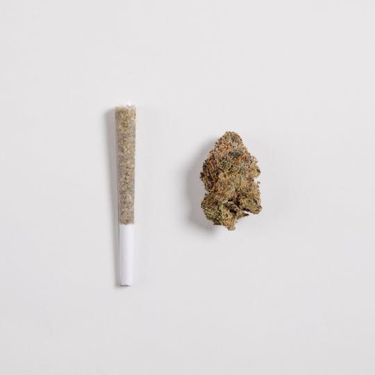 SASHI - Permanent Marker 5-Pack - 1