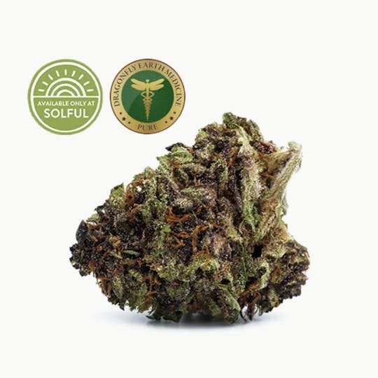 Sun Roots Farm - Velvet Citron - 1