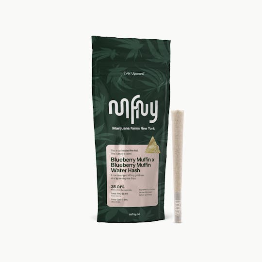 MFNY - Blueberry Muffin x Blueberry Muffin Water Hash Infused Pre-roll | 1g - 1