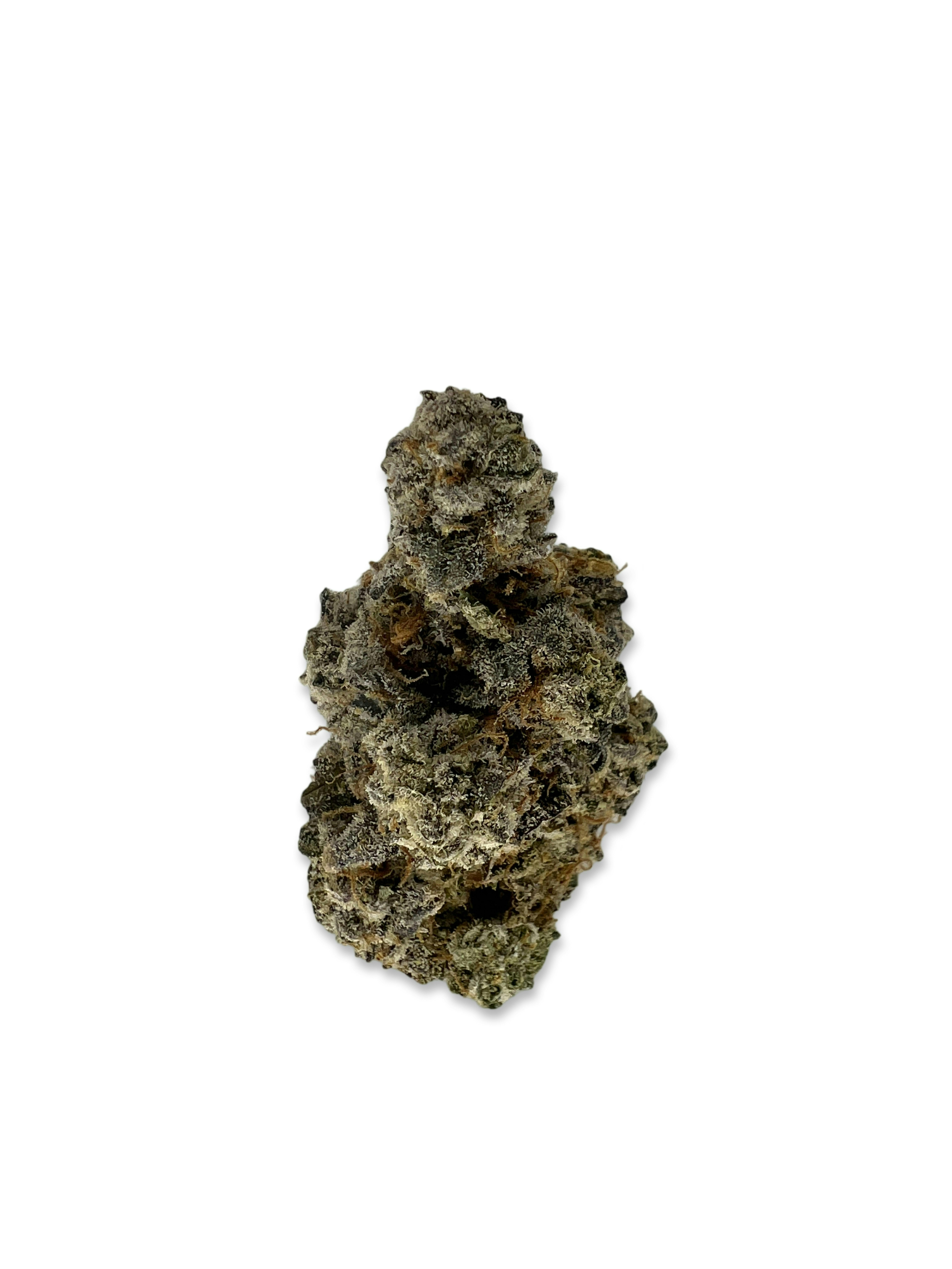 Indico - Fruit Loops - Casco Botanical - 1