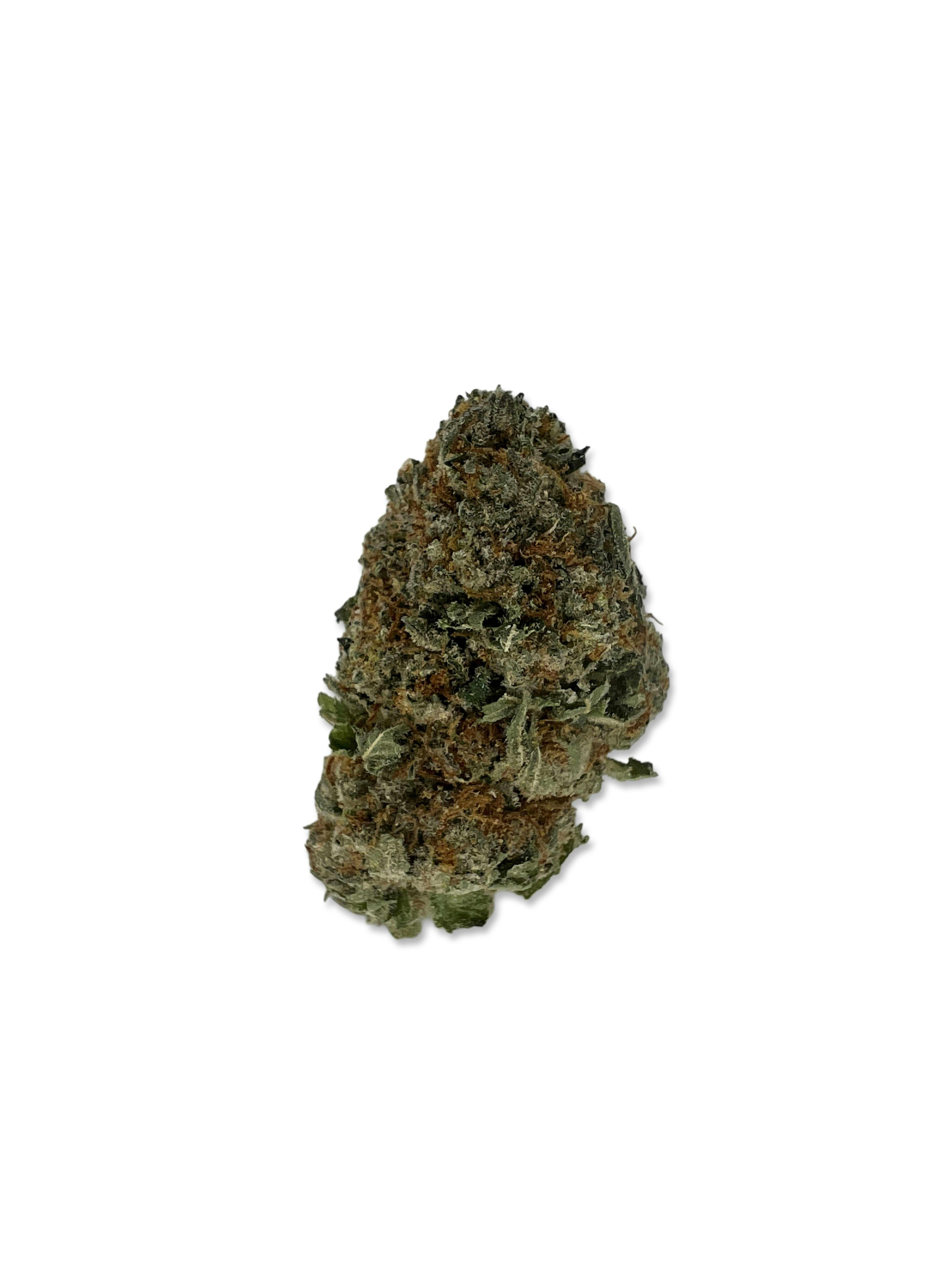 Indico - Gushnana - Cure Cannabis - 1