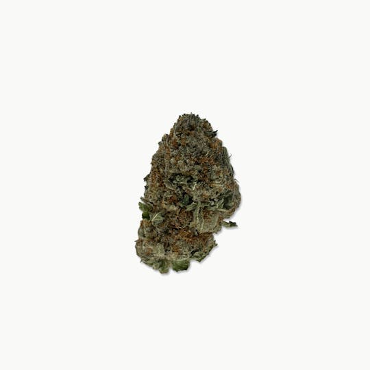 Indico - Gushnana - Cure Cannabis - 1