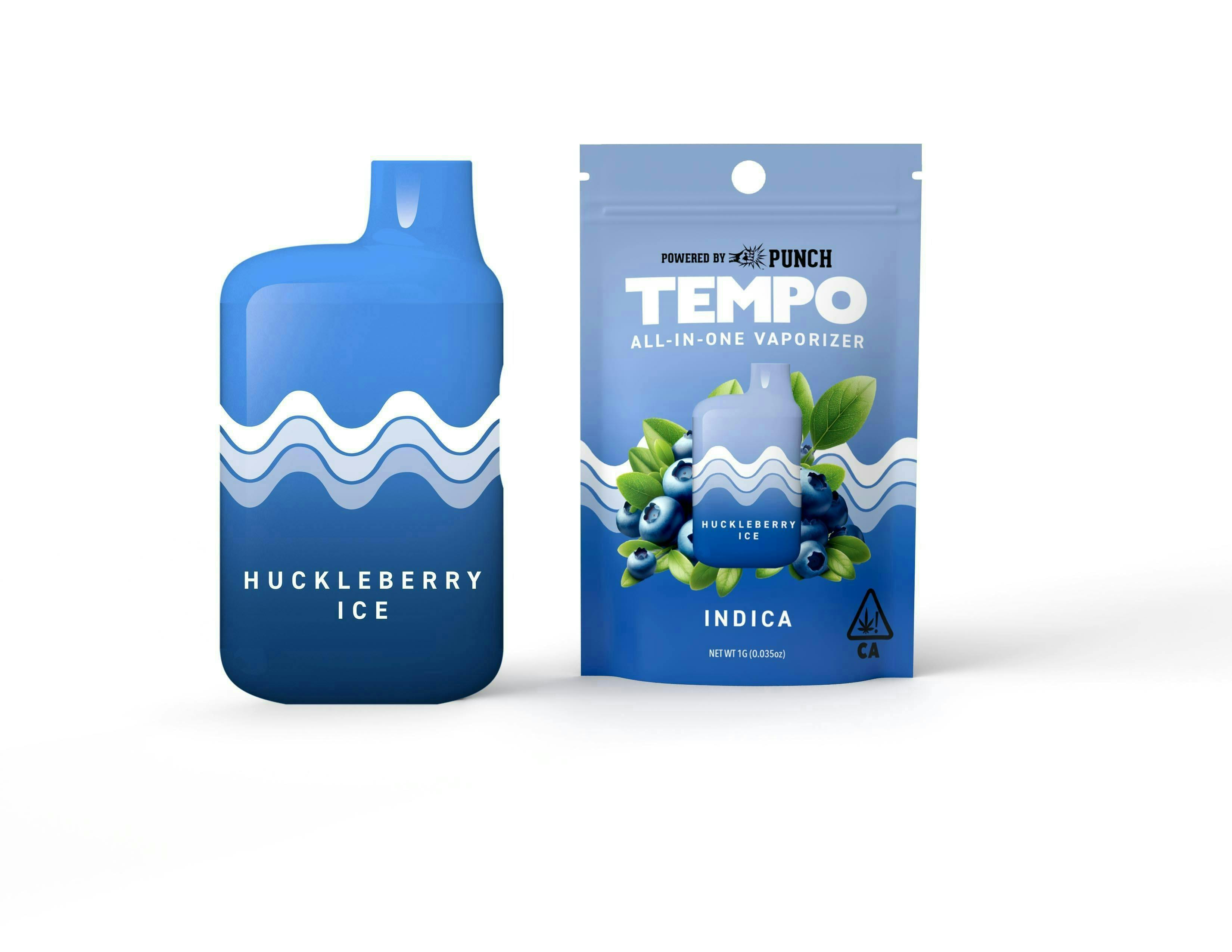 Tempo - Tempo | Huckleberry Ice | AIO Disposable | 1g - 1