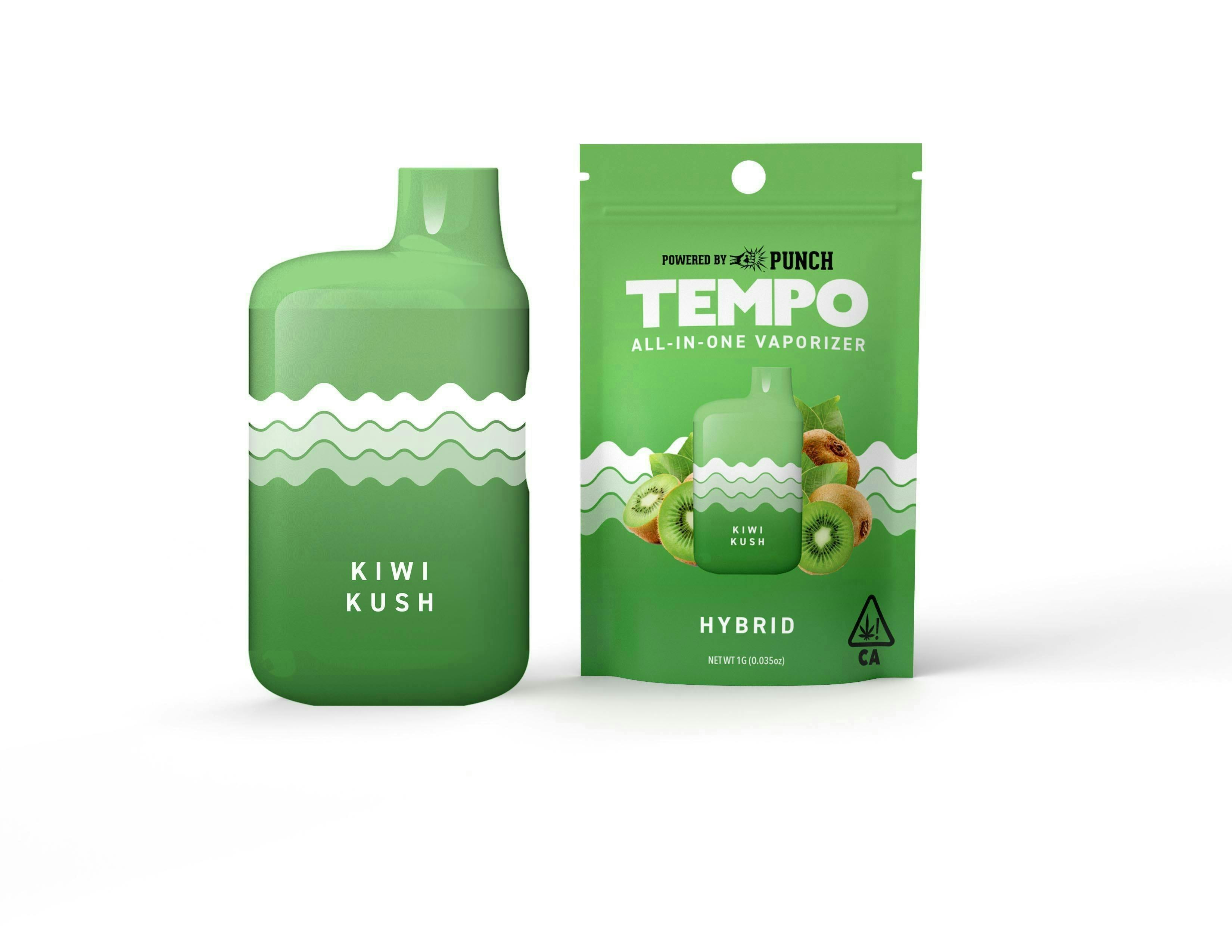 Tempo - Tempo | Kiwi Kush | AIO Disposable | 1g - 1