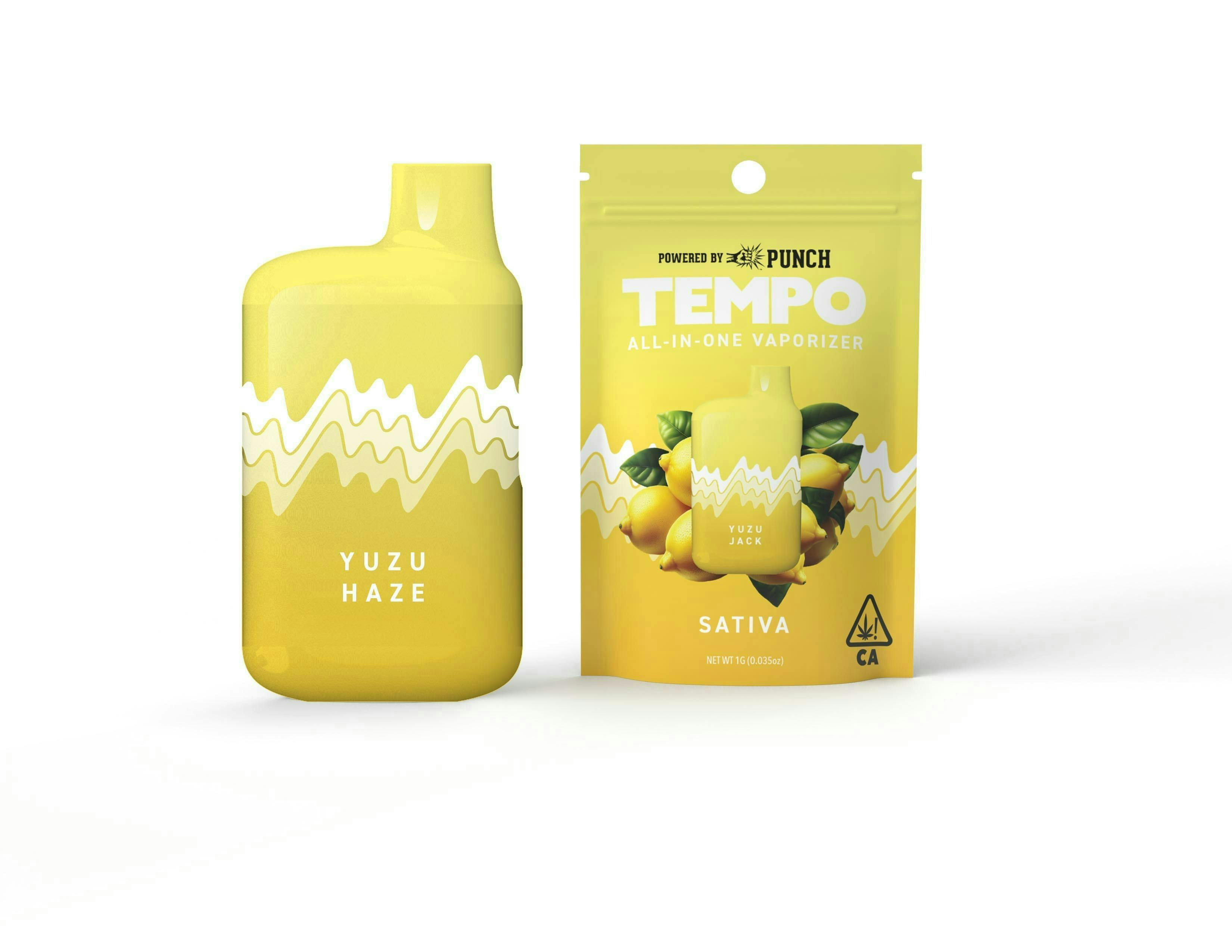 Tempo - Tempo | Yuzu Haze | AIO Disposable | 1g - 1