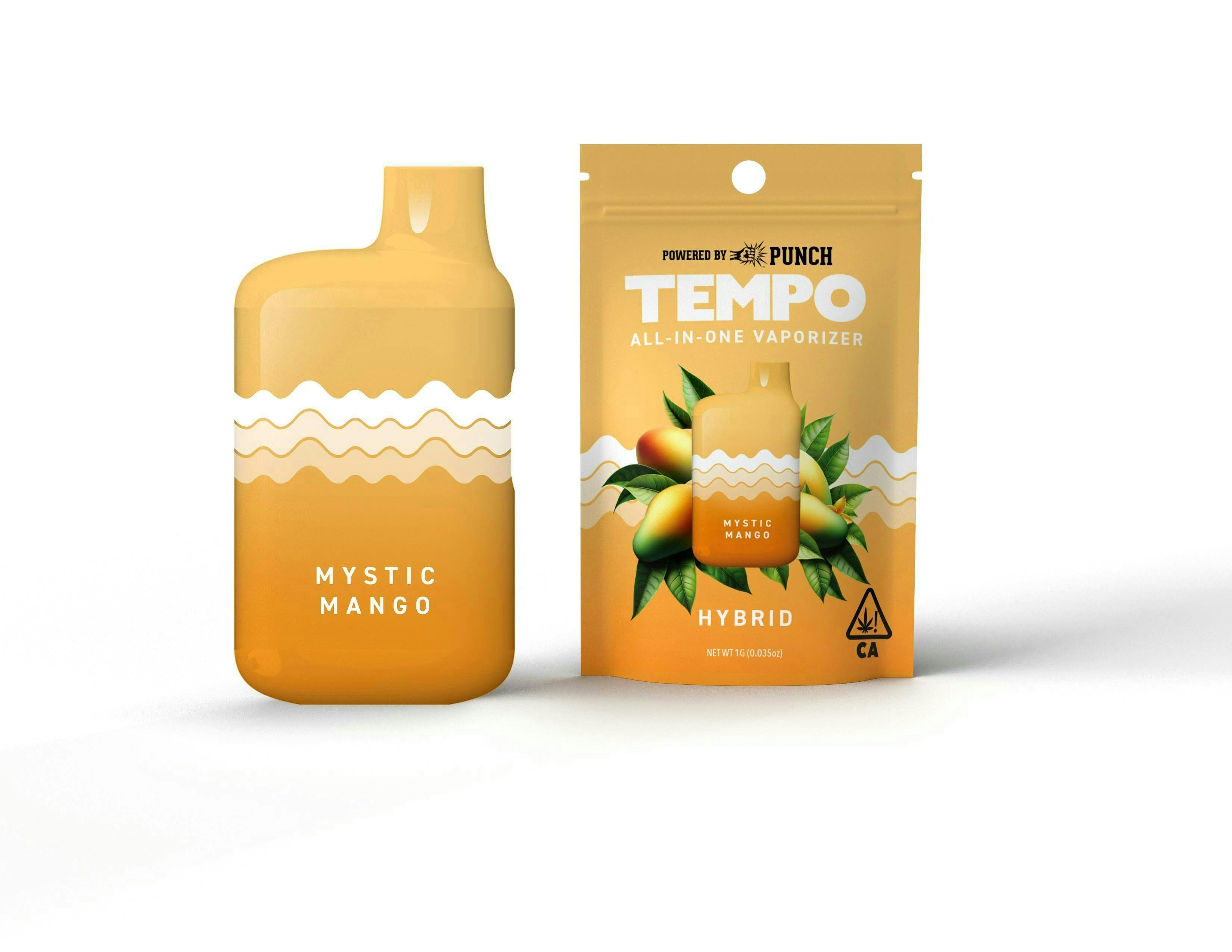Tempo - Tempo | Mystic Mango | AIO Disposable | 1g - 1