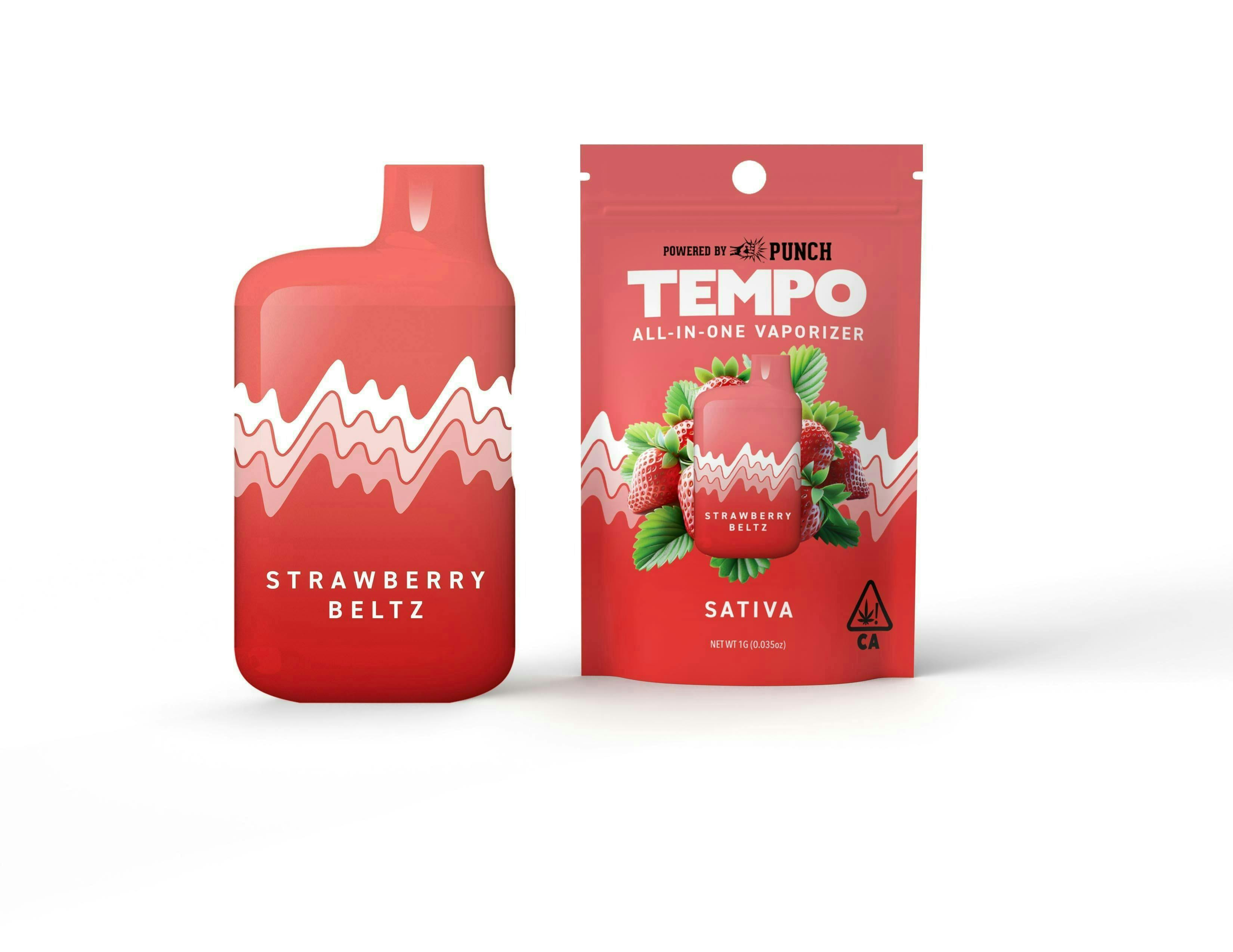 Tempo - Tempo | Strawberry Beltz | AIO Disposable | 1g - 1