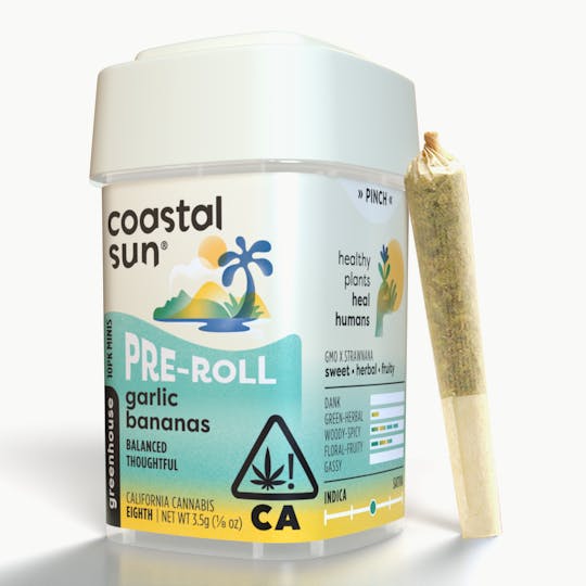 Coastal Sun - Garlic Bananas Greenhouse 0.35g Pre-roll 10pk 3.5g - 1