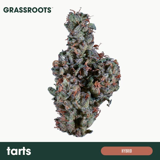 Grassroots - Tarts Flower - 1