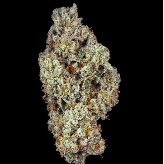 Grassroots - Jungle Pie Flower - 1