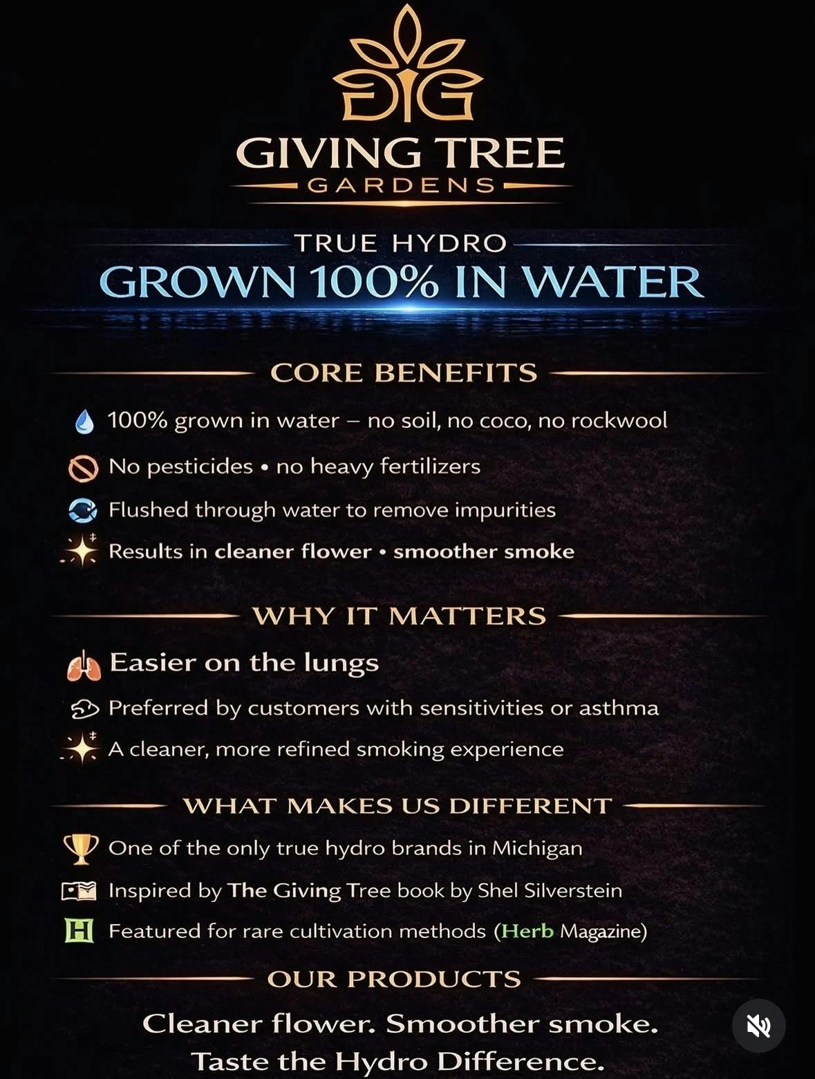 Giving Tree Gardens - Mile High Club – Deli Flower | 100% WATER GROWN • TRUE HYDRO - 1