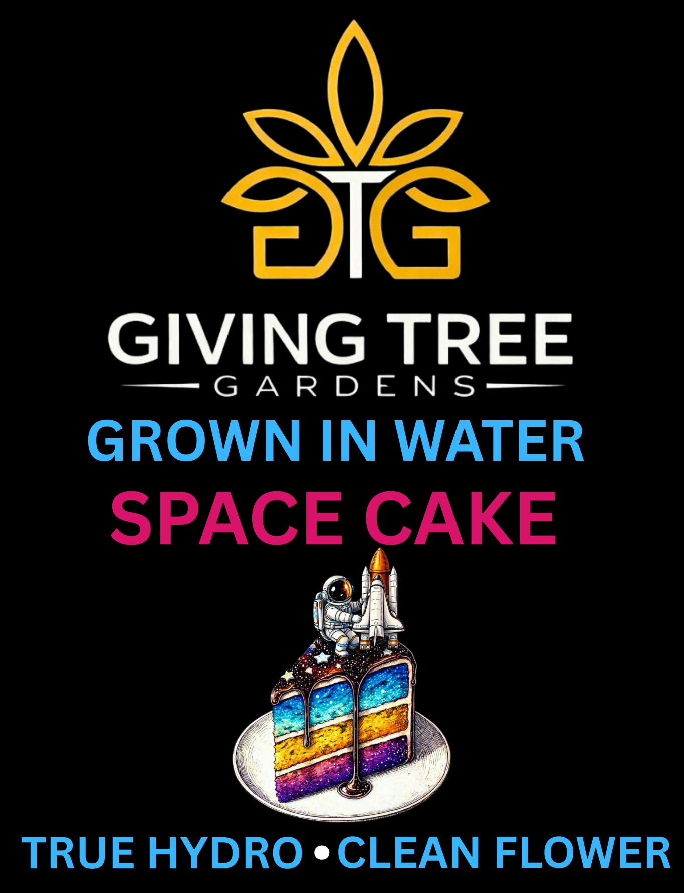 Giving Tree Gardens - Space Cake – Deli Flower | 100% WATER GROWN • TRUE HYDRO - 1