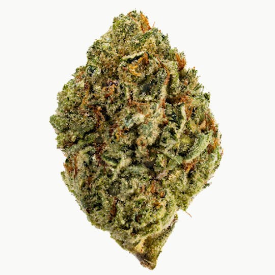 West Coast Cure - London Truffles - 28G Premium Flower - 1
