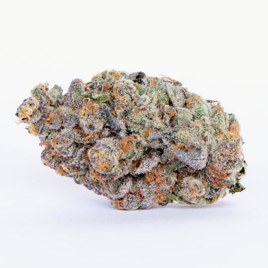 Pure Beauty - Cherry Tart | 14.17g Indoor - 1