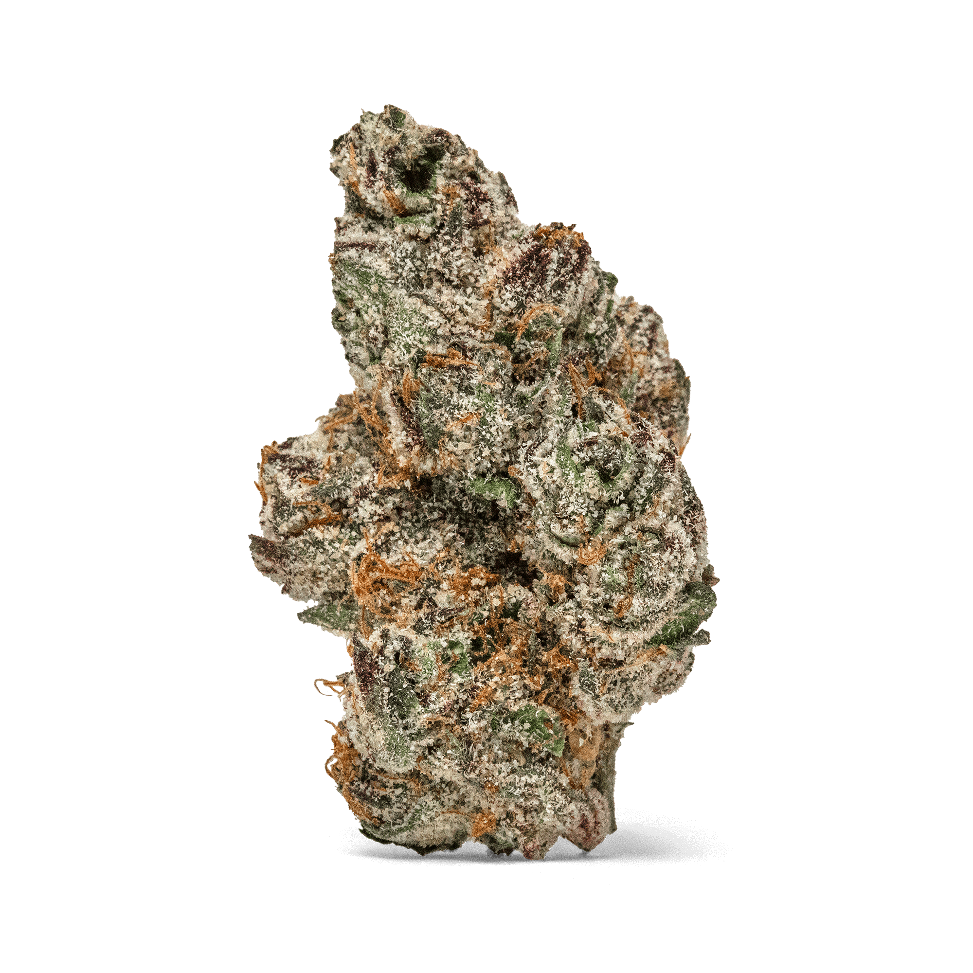 Sherbinskis - Sherbinskis | Gelato 33 | Big Buds | 3.5g - 1