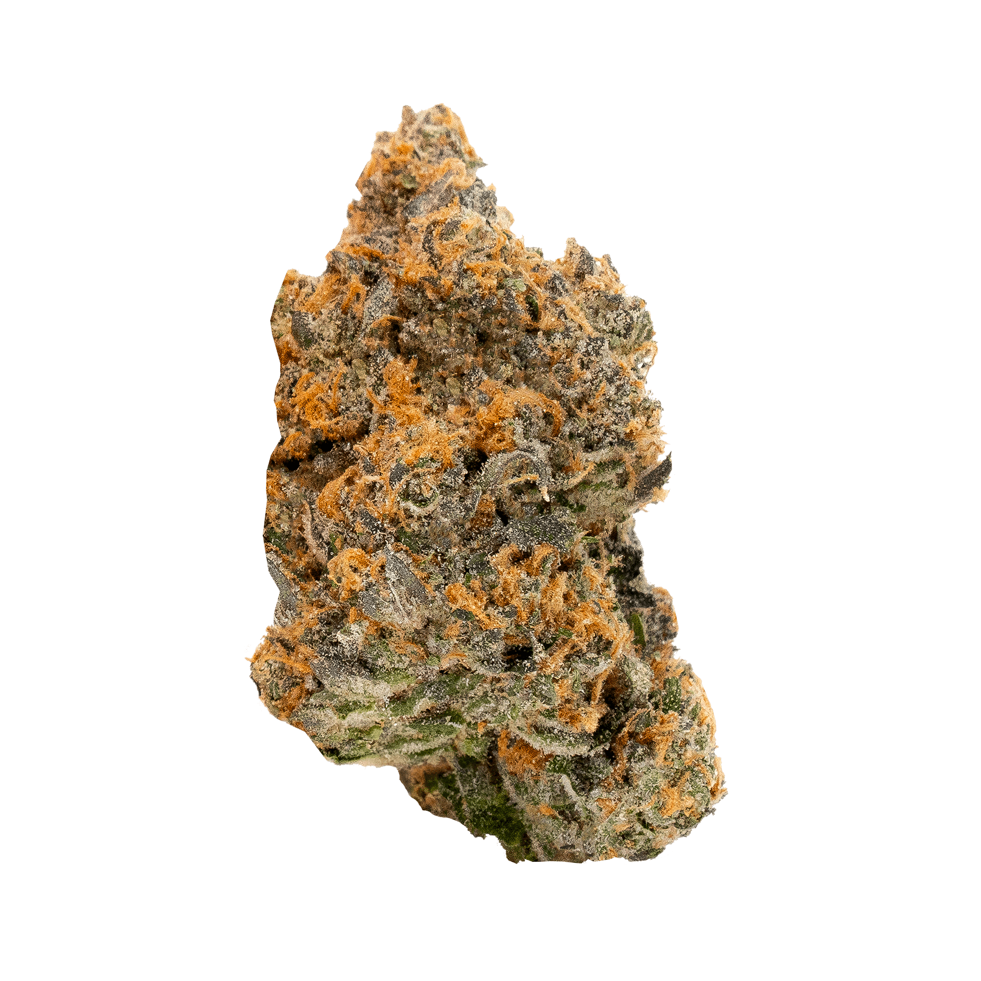 Sherbinskis - Sherbinskis | SF-Z | Big Buds | 3.5g - 1