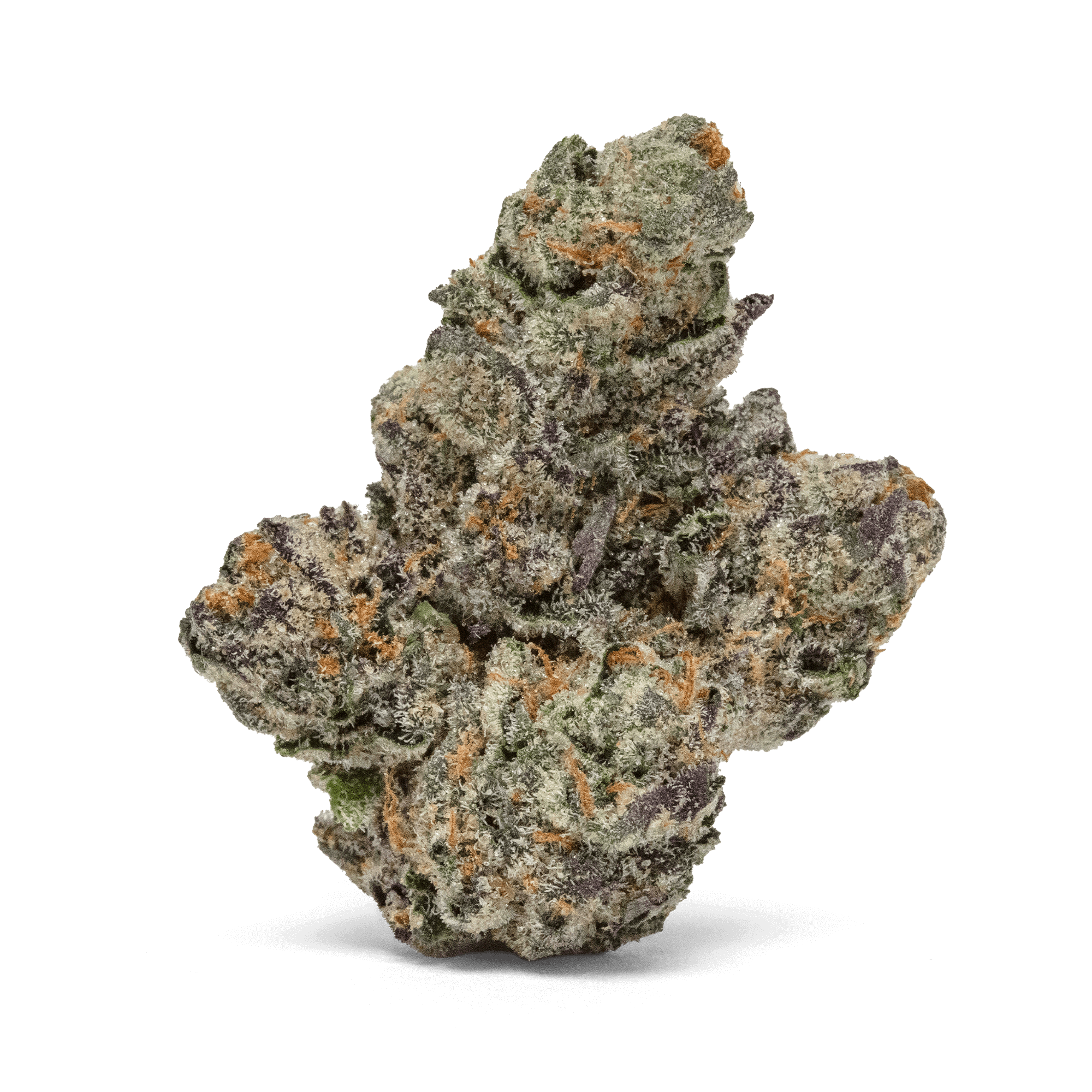 Sherbinskis - Sherbinskis | Bacio | Big Buds | 3.5g - 1
