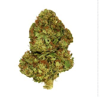 Smoakland - Smoakland Xclusivez | Gushers (H) | Big Buds | 28g - 1