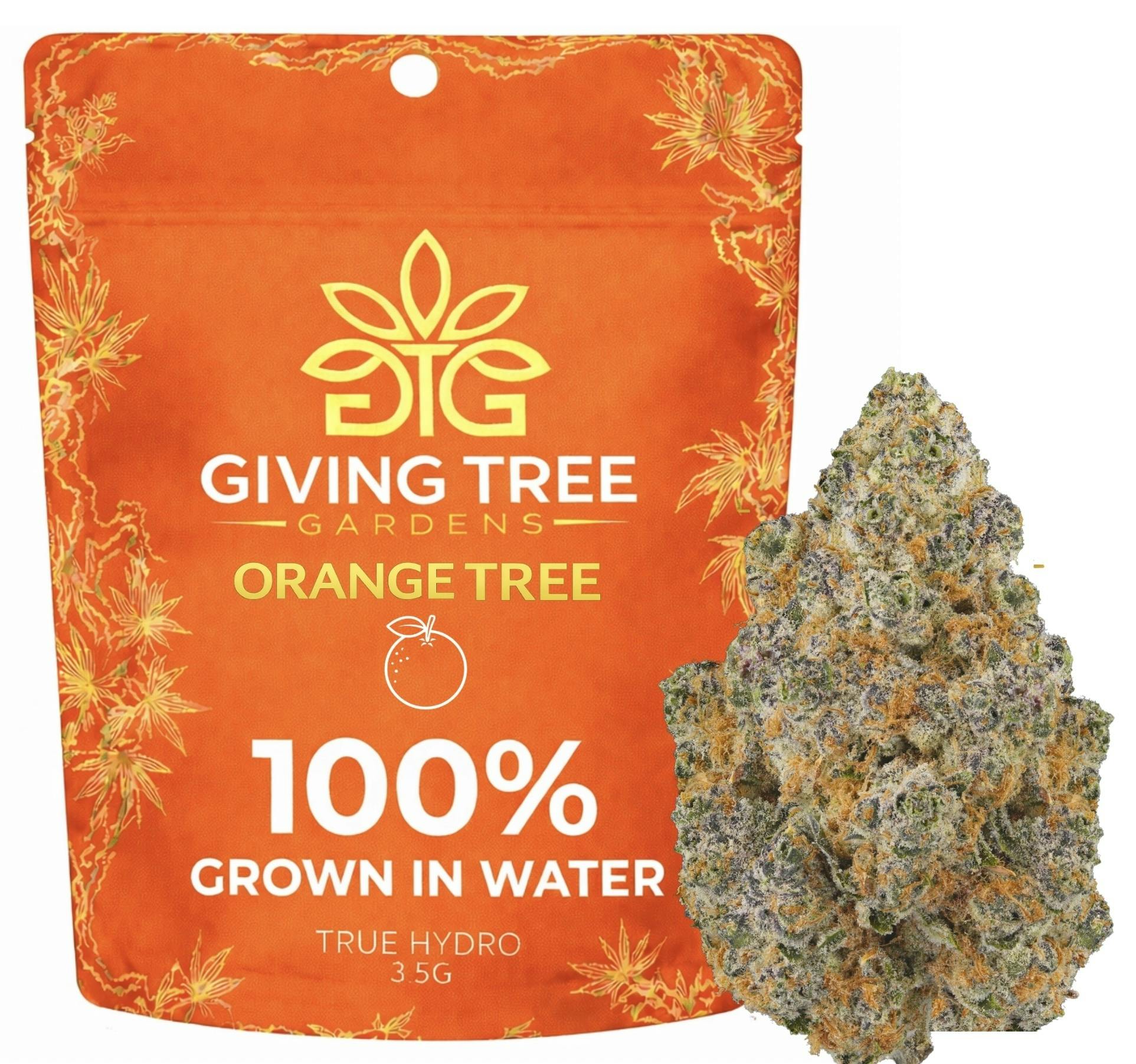 Giving Tree Gardens - Orange Tree – Deli Flower | 100% WATER GROWN • TRUE HYDRO - 1