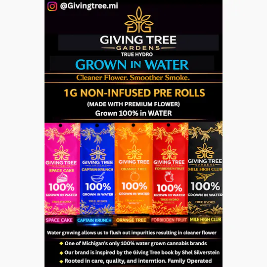 Giving Tree Gardens - Orange Tree – 3.5G Pre-Pack Flower | 100% WATER GROWN • TRUE HYDRO - 1