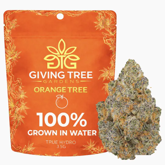 Giving Tree Gardens - Orange Tree – 3.5G Pre-Pack Flower | 100% WATER GROWN • TRUE HYDRO - 1