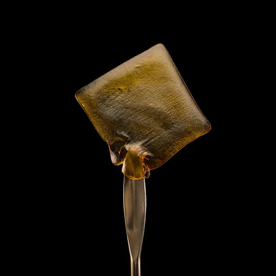 Globs - Globs | Golden Papaya | Live Resin | Shatter - 1