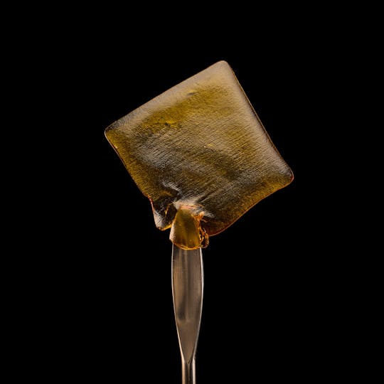 Globs - Globs Live Resin Shatter RS11 - 1