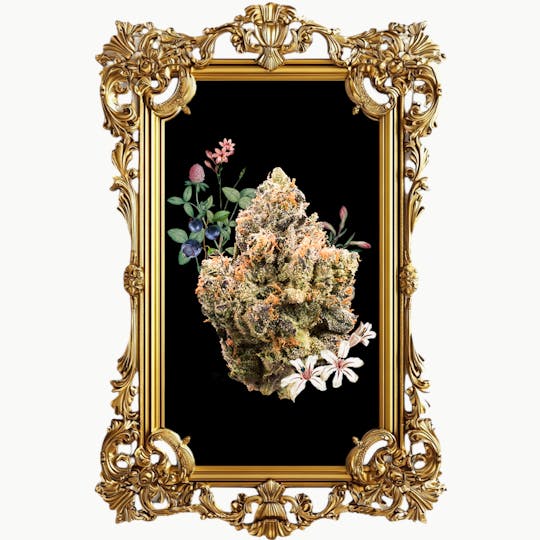 Goddess - Bubble Gum Runtz 3.5G - 1