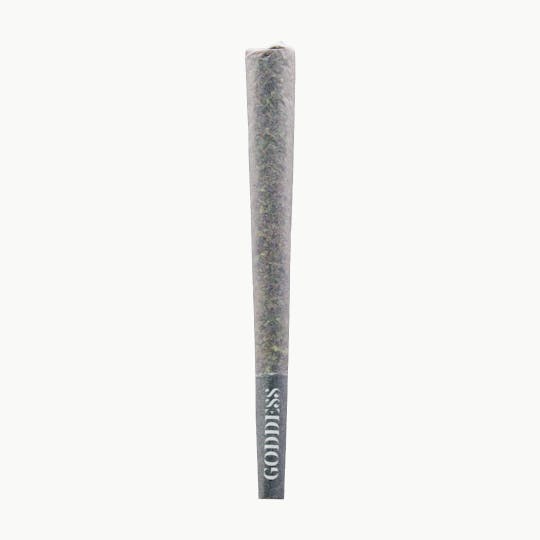 Goddess - Maraschino Lemon Pop 1G Preroll - 1