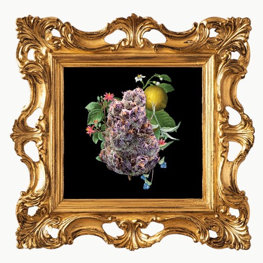 Goddess - Maraschino Lemon Pop 3.5G - 1