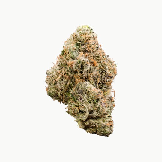 XOTX - Lemon Cherry Gelato 7G - 1