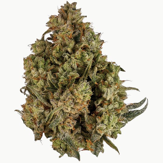 Orchid CBD - ORCHID CBD RUNTZ – 3.5g - 1