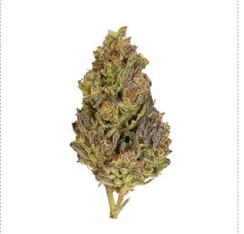 Smoakland - Smoakland | Ghost Vapor | Big Buds | 14g - 1