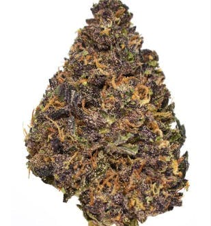 Smoakland - Smoakland Exotix | Garlic Budder (I) | Big Buds | 14g - 1